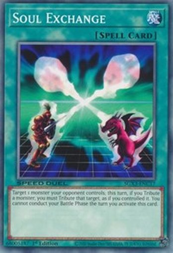 Soul Exchange • SGX3-ENC17 • C – Code Cards CR