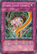 Plant Food Chain • CSOC-EN076 • C