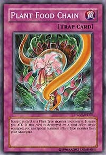 Plant Food Chain • CSOC-EN076 • C