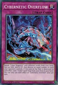 Cybernetic Overflow • CYHO-EN073 • C