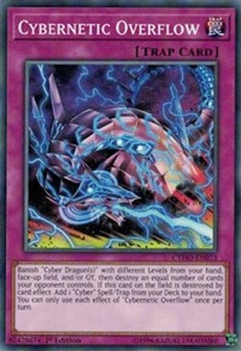 Cybernetic Overflow • CYHO-EN073 • C