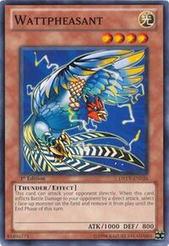 Wattpheasant • DREV-EN026 • C