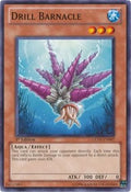 Drill Barnacle • GENF-EN007 • C
