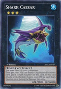 Shark Caesar • JOTL-EN049 • C