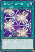 Elegant Egotist • LED4-EN008 • C