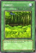 Forest • LOB-046 • C