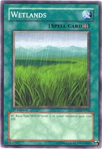Wetlands • LODT-EN054 • C