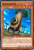 Baobaboon • MACR-EN034 • C