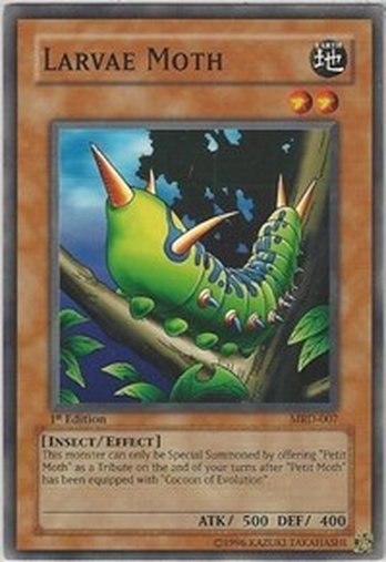 Larvae Moth • MRD-007 • C