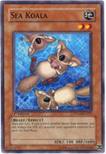 Sea Koala • PTDN-EN037 • C