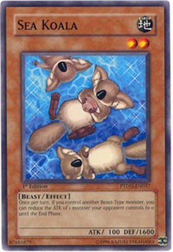 Sea Koala • PTDN-EN037 • C