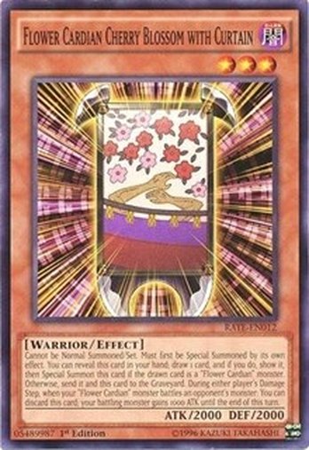 Flower Cardian Cherry Blossom with Curtain • RATE-EN012 • C