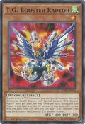 T.G. Booster Raptor • SAST-EN010 • C