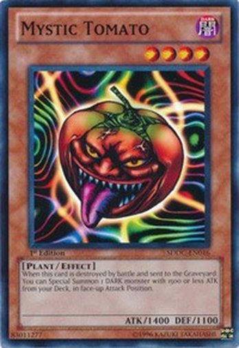 Mystic Tomato • SDDC-EN016 • C