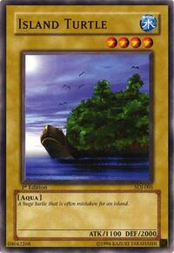 Island Turtle • SDJ-005 • C