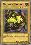 Master & Expert • SDK-016 • C