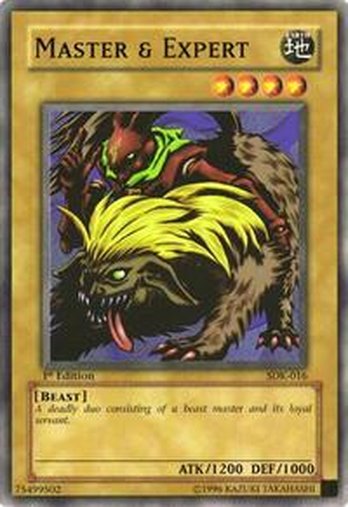 Master & Expert • SDK-016 • C