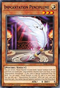 Impcantation Penciplume • SOFU-EN023 • C