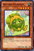 Naturia Pumpkin • STBL-EN031 • C