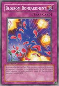 Blossom Bombardment • TSHD-EN074 • C