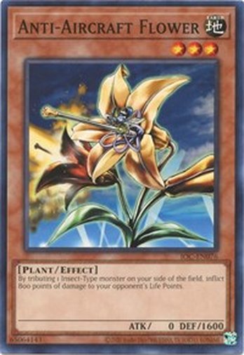 Anti-Aircraft Flower • IOC-EN076 • C • 25th Reprint