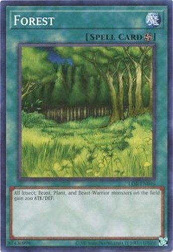 Forest • LOB-EN046 • C • 25th Reprint