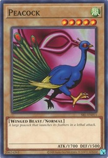 Peacock • SRL-EN011 • C • 25th Reprint