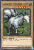 Ancient One of the Deep Forest • SRL-EN018 • C • 25th Reprint