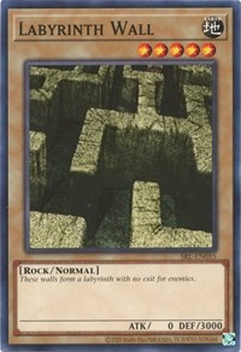 Labyrinth Wall • SRL-EN055 • C • 25th Reprint