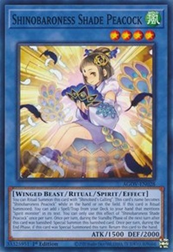 Shinobaroness Shade Peacock • AGOV-EN028 • C