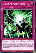 S-Force Specimen • BLVO-EN071 • C