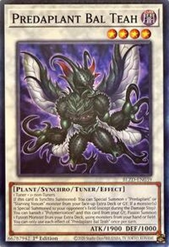 Predaplant Bal Teah • BLZD-EN039 • C