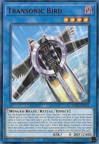 Transonic Bird • BODE-EN037 • C