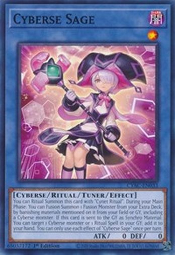 Cyberse Sage • CYAC-EN033 • C