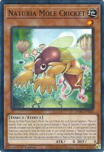 Naturia Mole Cricket • DABL-EN020 • C