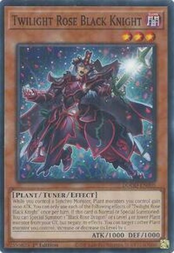 Twilight Rose Black Knight • DOOD-EN005 • C