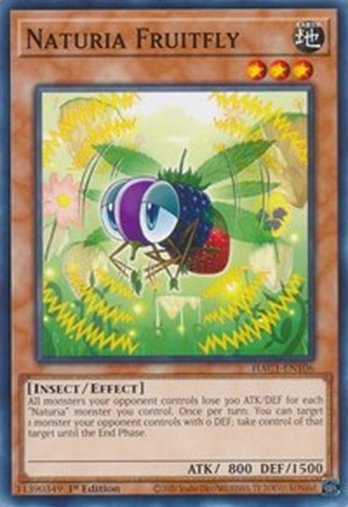 Naturia Fruitfly • HAC1-EN106 • C