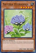 Naturia Hydrangea • HAC1-EN107 • C