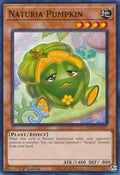 Naturia Pumpkin • HAC1-EN117 • C