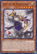 Silvy of the White Forest • INFO-EN015 • C