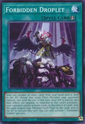 Forbidden Droplet • L26D-ENM13 • C