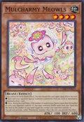 Mulcharmy Meowls • L26D-ENX13 • C