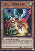 Droll & Lock Bird • LAVD-ENO01 • C