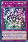 Pendulum Dimension • LDS3-EN134 • C
