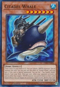 Citadel Whale • LED9-EN026 • C