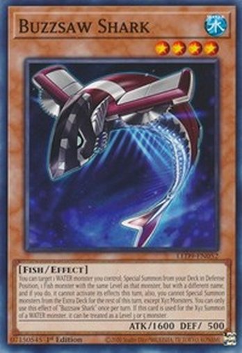Buzzsaw Shark • LED9-EN052 • C