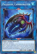 Paleozoic Cambroraster • LIOV-EN047 • C