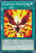 Salamangreat Transcendence • MP20-EN180 • C