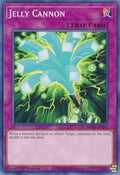 Jelly Cannon • MP20-EN197 • C