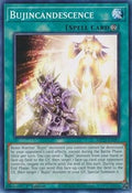 Bujincandescence • MP22-EN097 • C